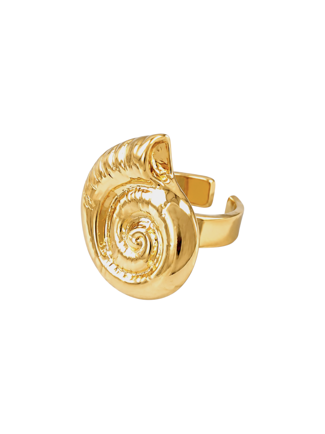 Ammonite Ring