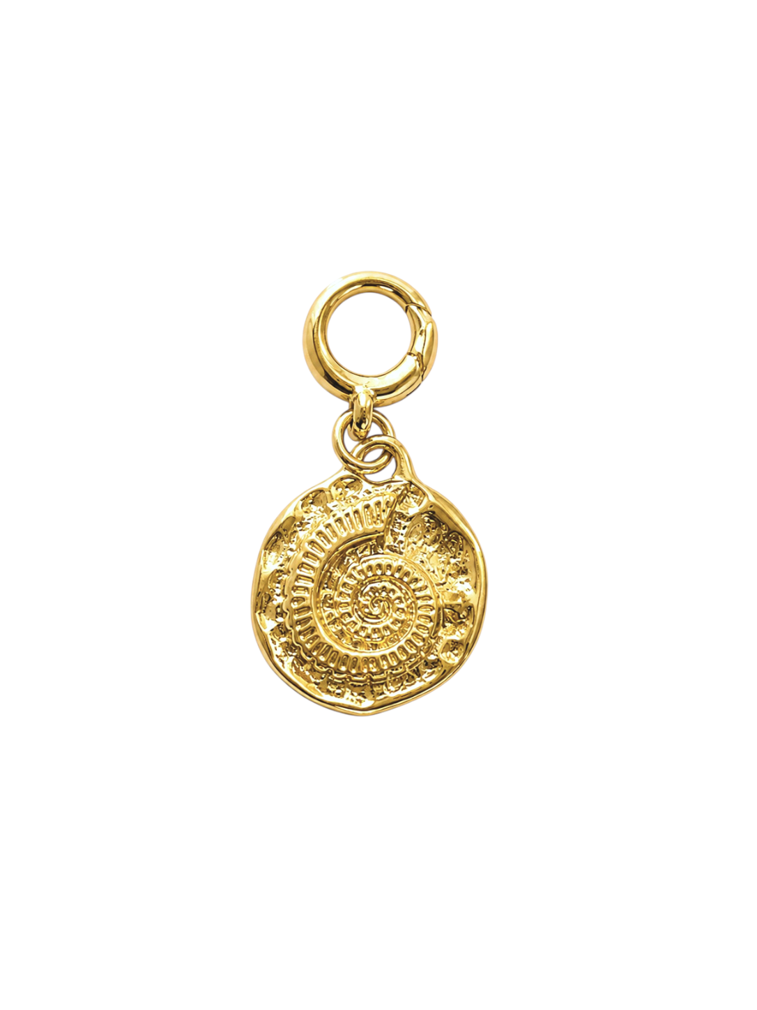 Ammonite Coin Clip-On Charm