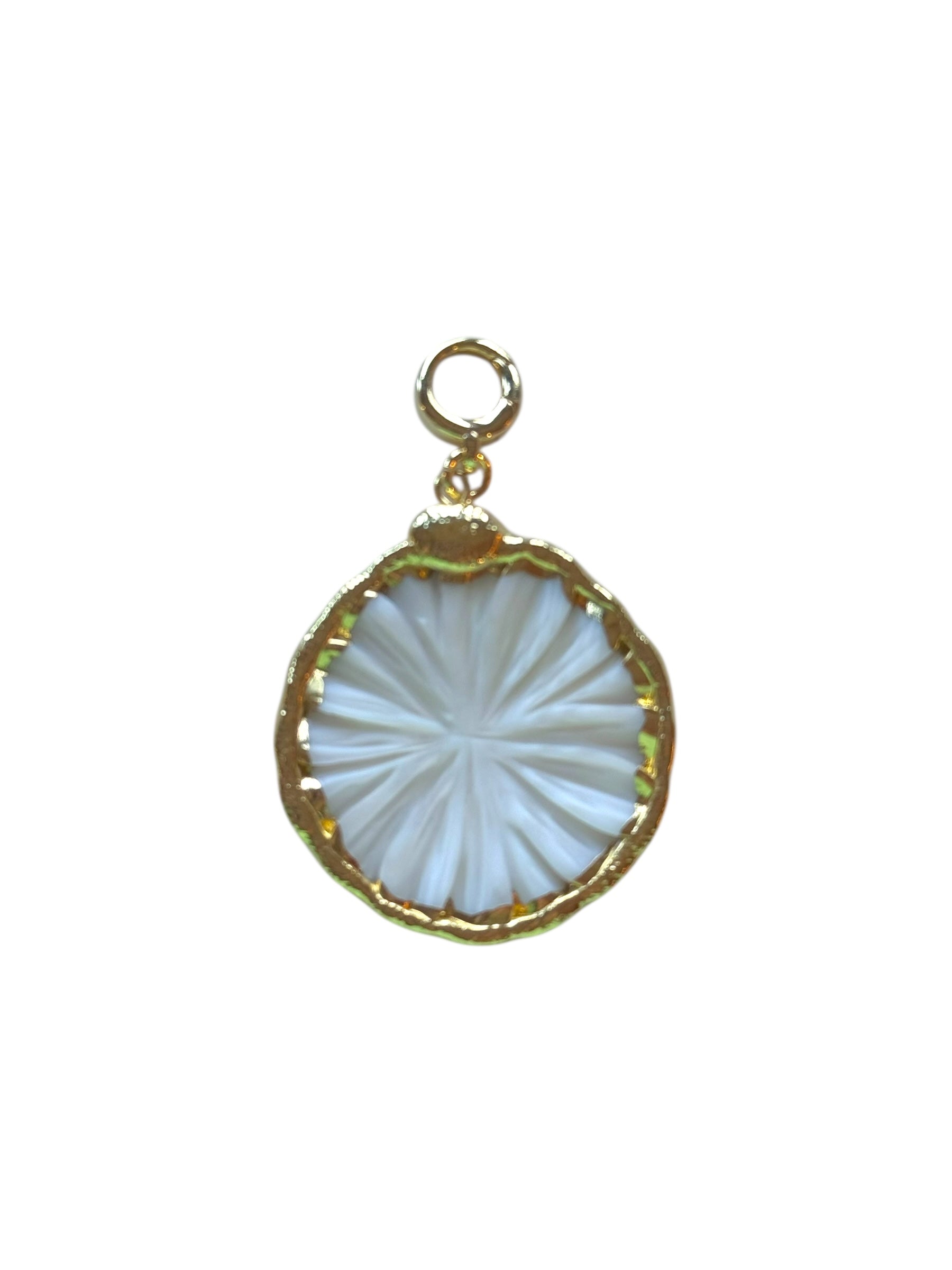 Sand Dollar Shell Clip-On Charm