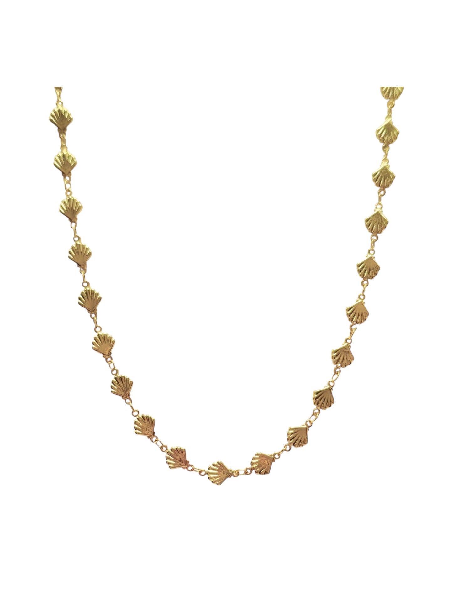 Shell Long Necklace