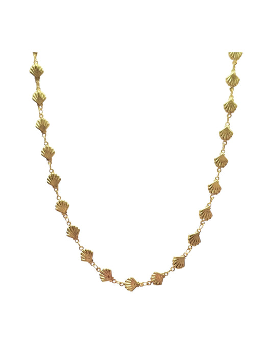 Shell Long Necklace