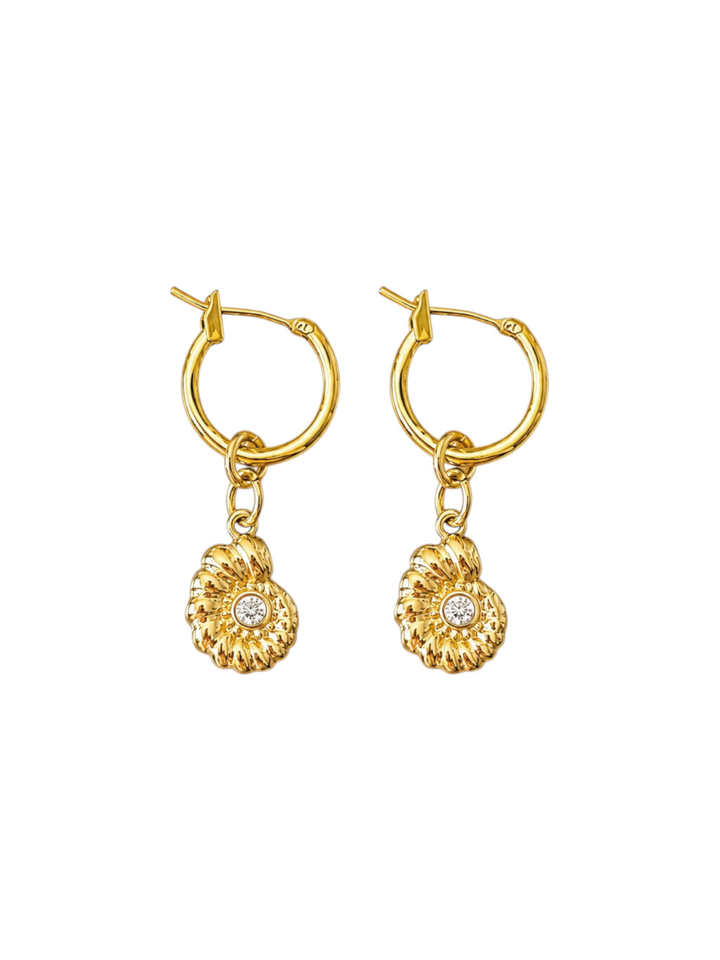 Ammonite Earrings