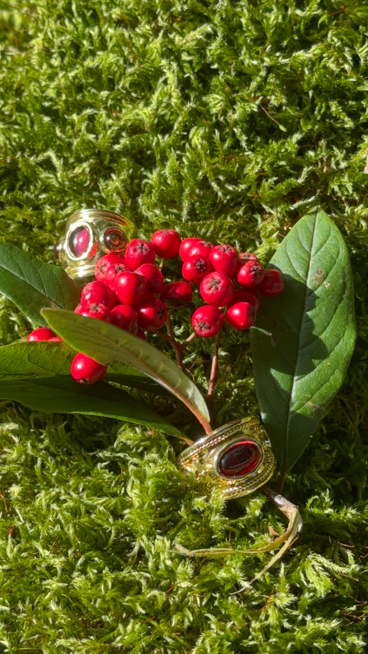 Cordelia Ring In Red