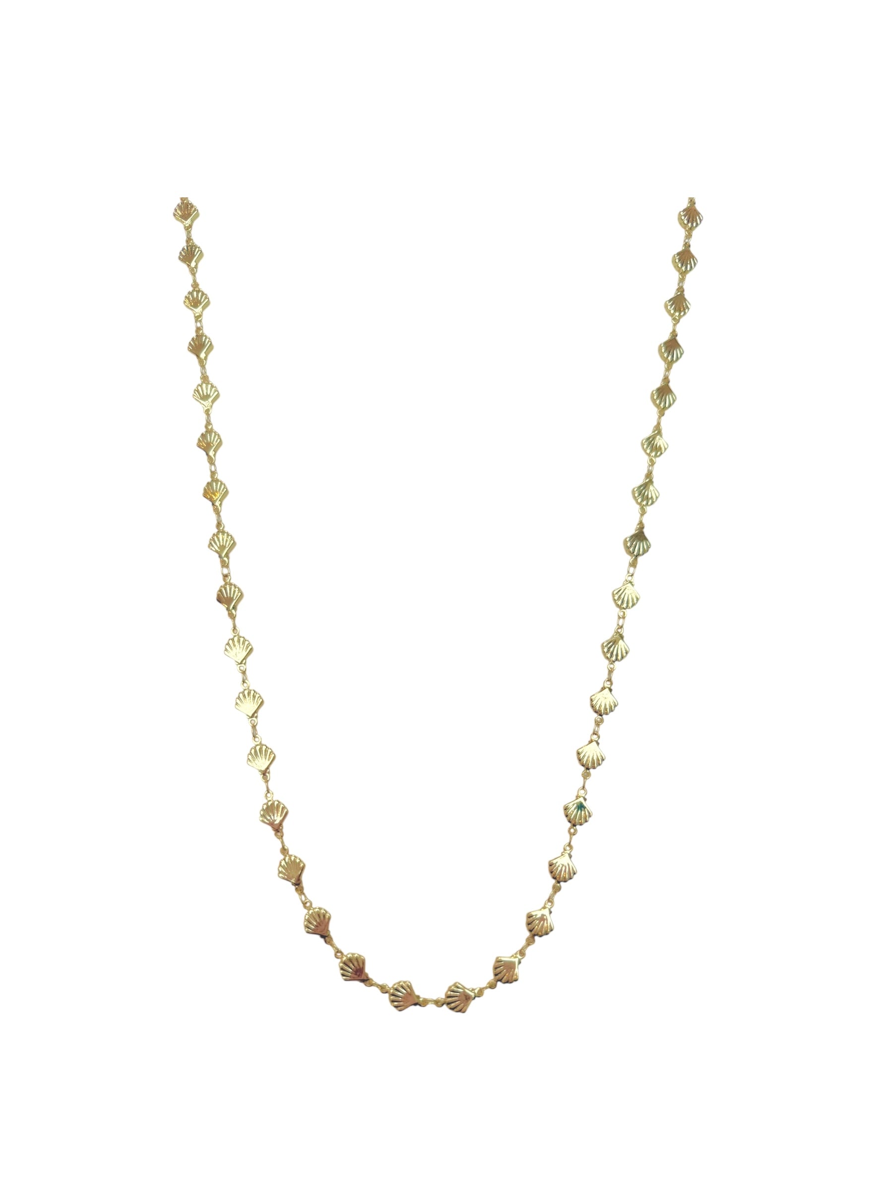 Shell Long Necklace