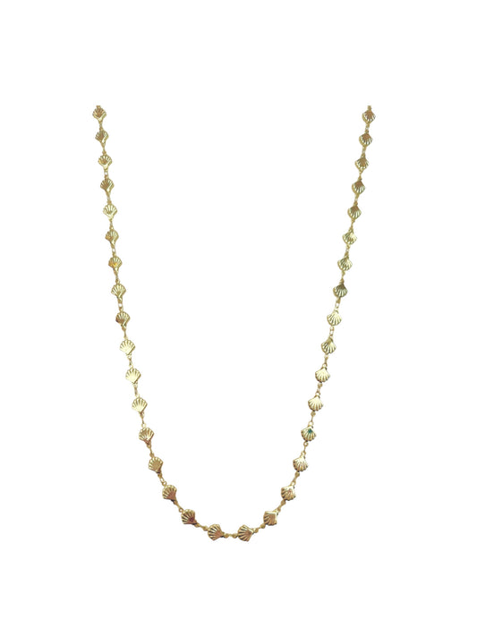 Shell Long Necklace