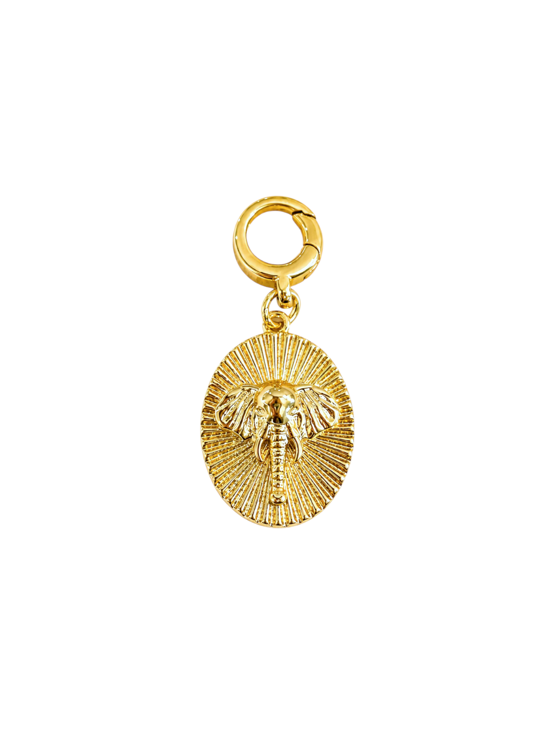 Elephant Oval Clip-on Charm