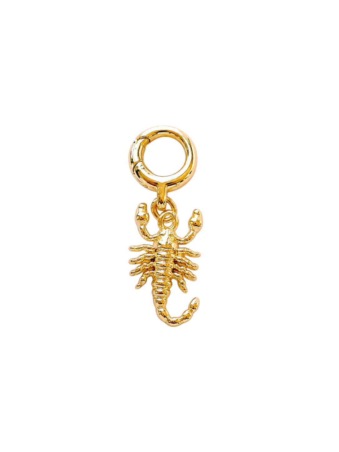 Scorpion Clip-On Charm