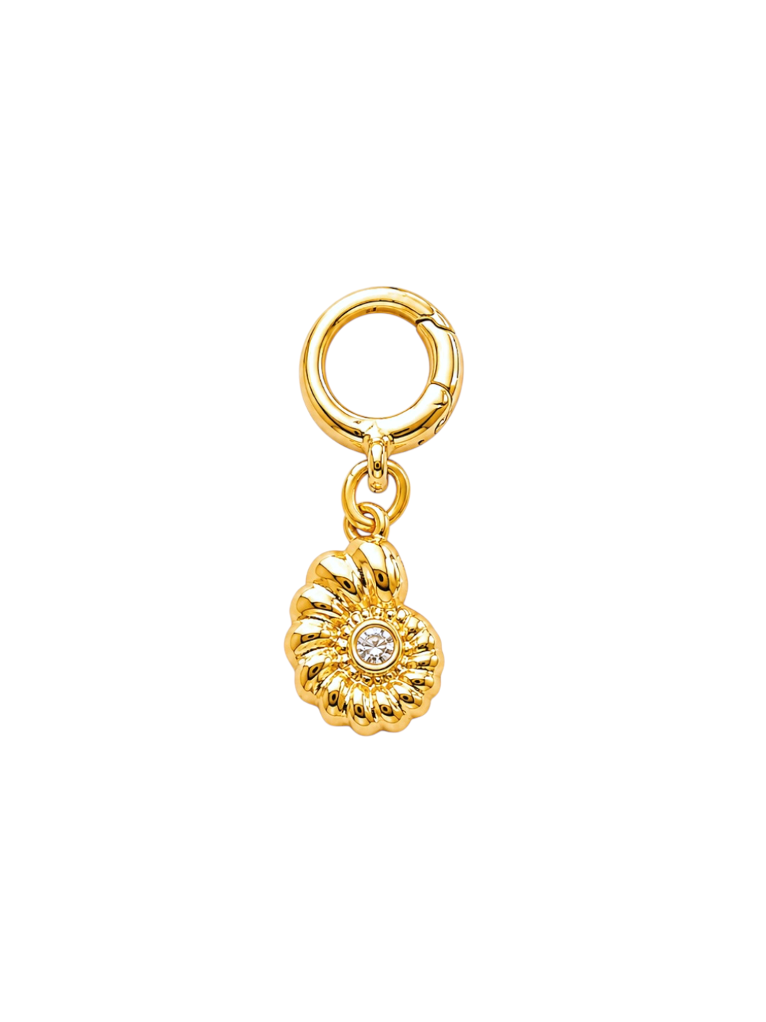 Small Ammonite Clip-On Charm