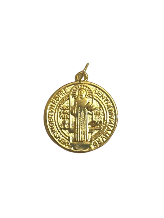 Big Virgin Mary Coin Loop-on Charm