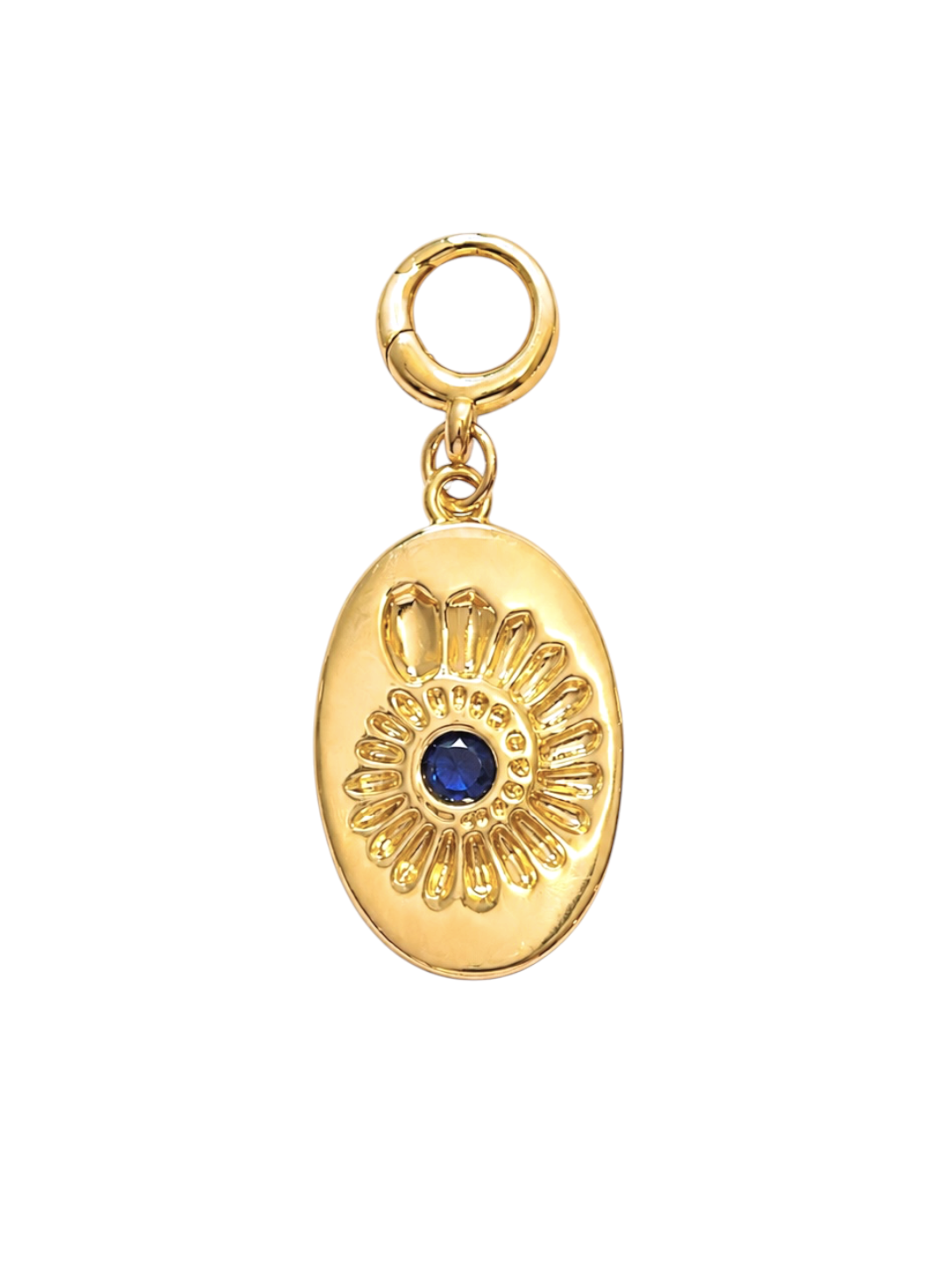 Blue Stone Oval Ammonite Clip-On Charm