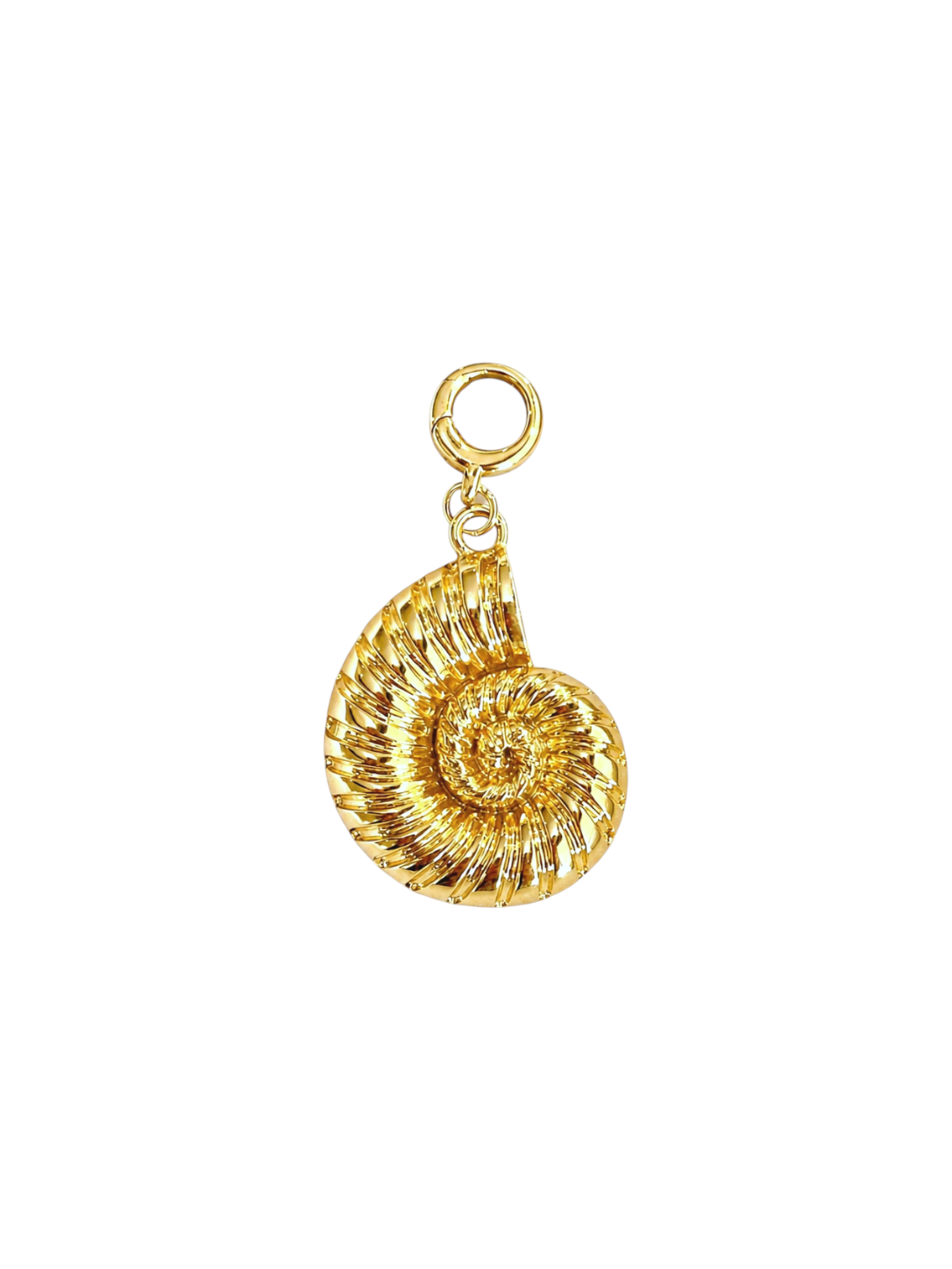 Fossil/Shell Clip-on Charm