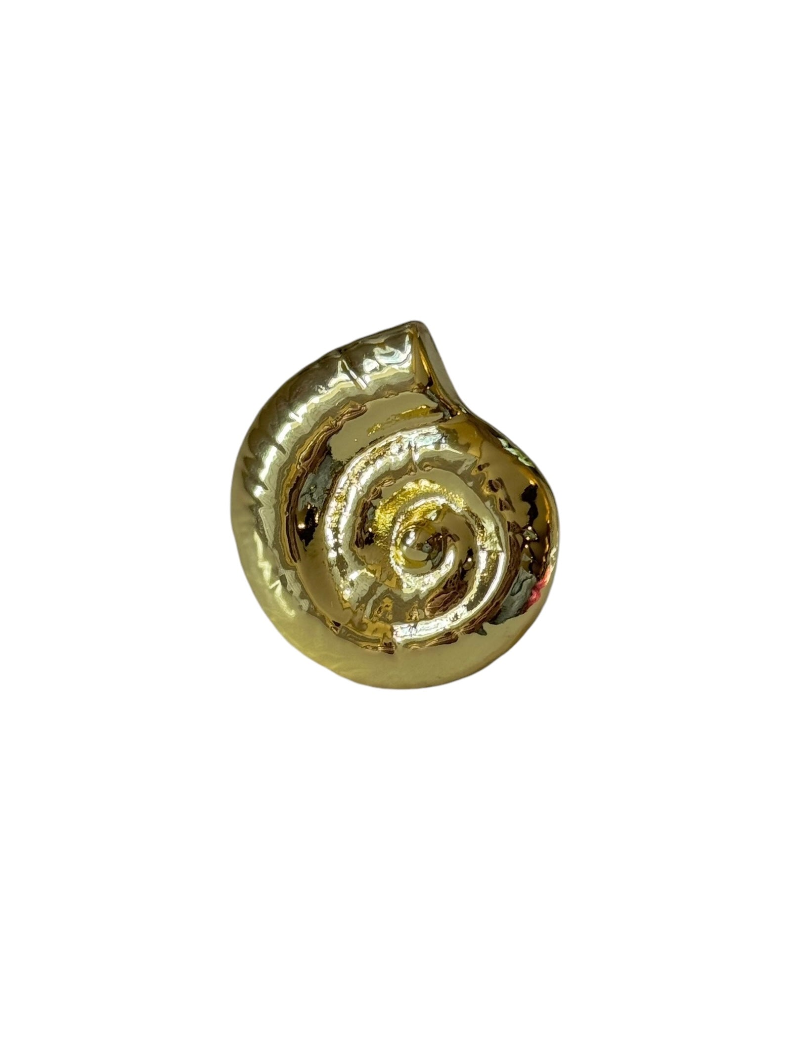 Ammonite Ring