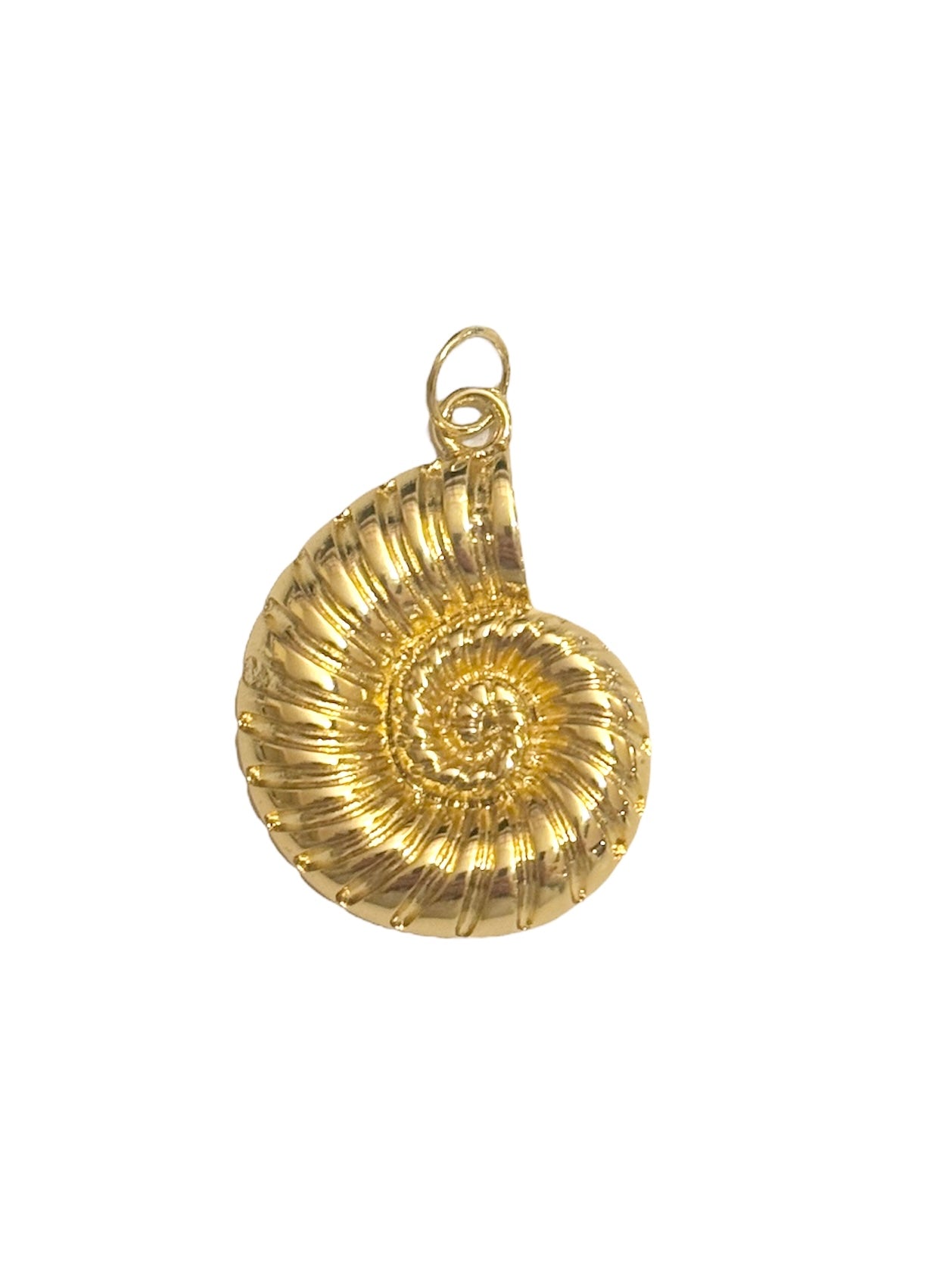 Shell/Fossil Loop-on Charm