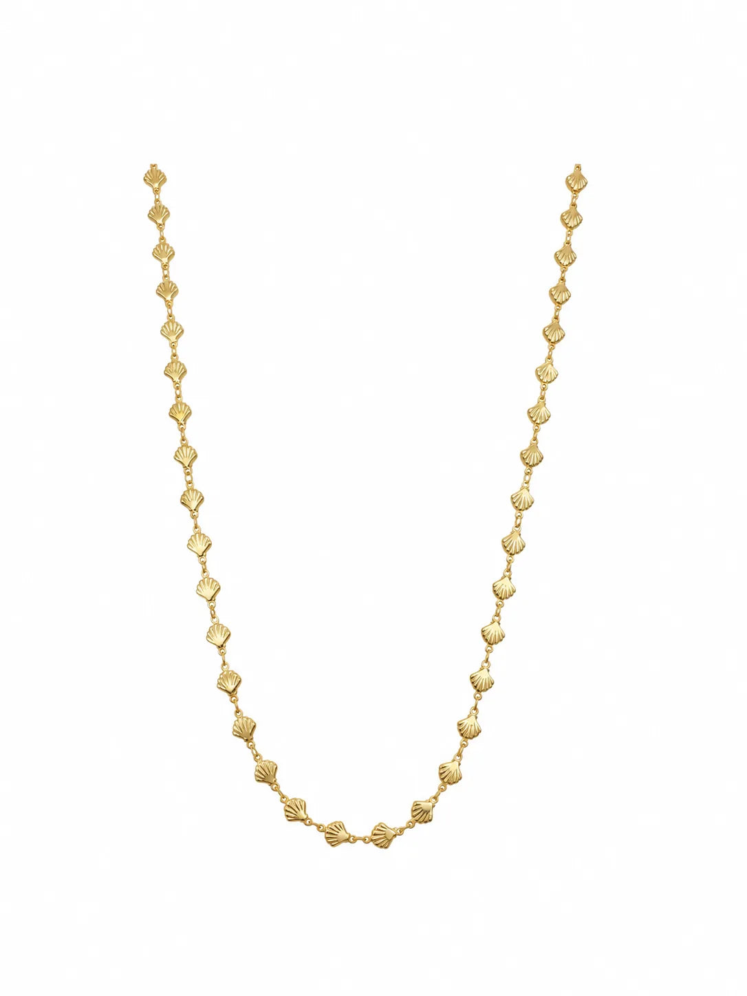 Shell Long Necklace