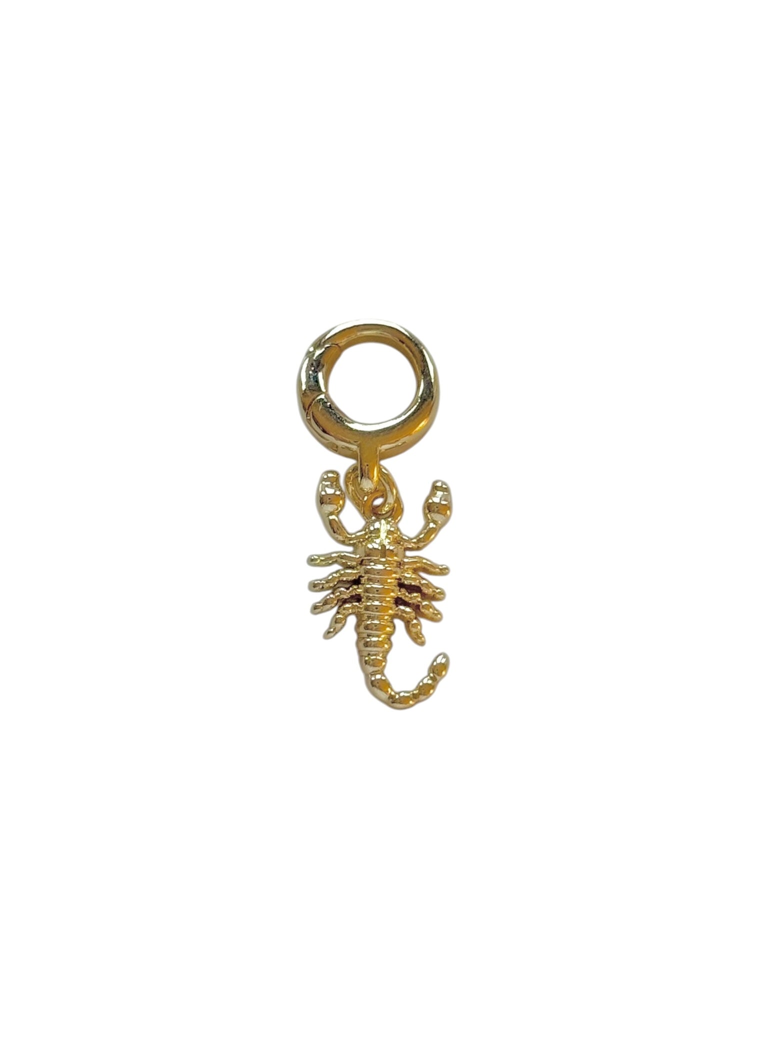 Scorpion Clip-On Charm